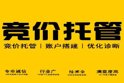 竞价SEM托管案例：广告投放的优化之道